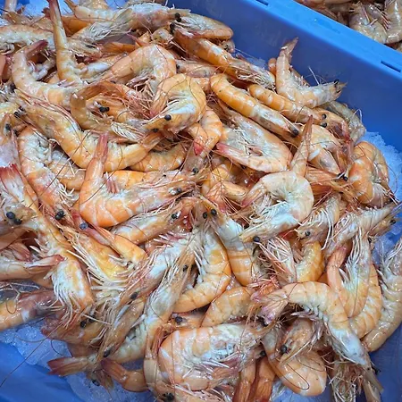 아파트 Casa Amis 칼페