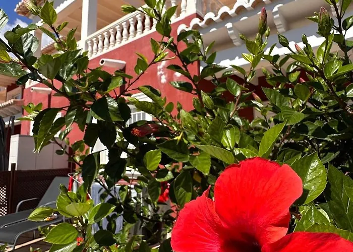 Casa Amis
